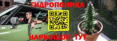 наркотики Кингисепп
