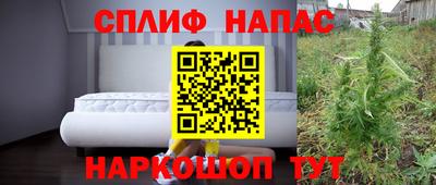 шишки Кимры