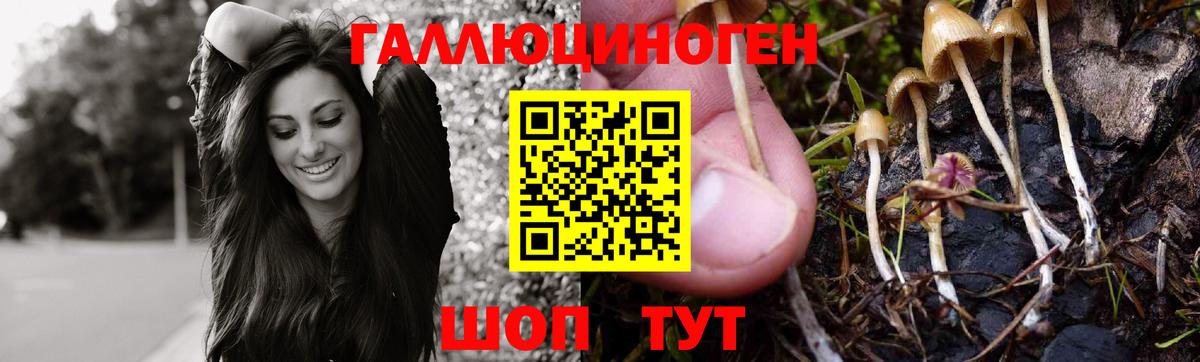 Бирск  Галлюциногенные грибы мицелий  Вход с VPN 